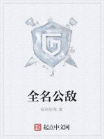 全名公敵