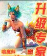 《升級專家》 《升級專家》