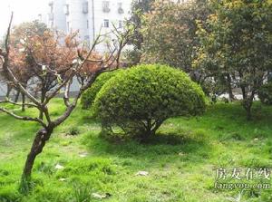 蓮溪新村 蓮溪新村