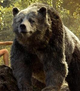 森林之子[2016年喬恩·費儒執導電影]