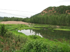 木頭凳鎮張台子村 木頭凳鎮張台子村