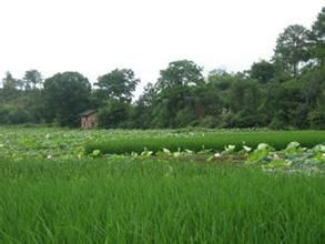 普嘎里村 普嘎里村