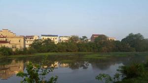 前張村[江西省萬年縣前張村]