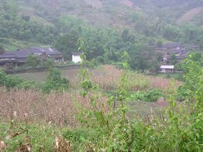 粉蘭寨自然村 粉蘭寨自然村