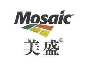 美盛網路 美盛網路