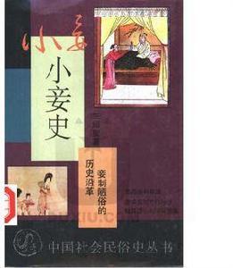 小妾史 小妾史
