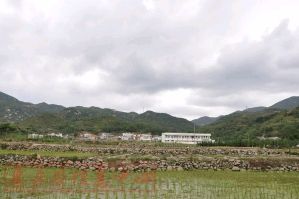 五福田村 五福田村