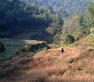 岩樂沖村 岩樂沖村