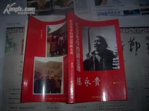 《扎白毛巾的副總理》2