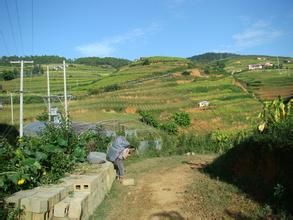 李家一二自然村 李家一二自然村