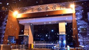 中國人民解放軍空軍勤務學院