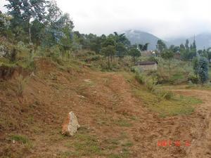 紅艷山村 紅艷山村