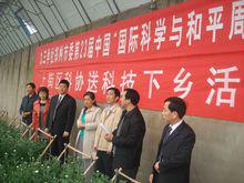 上街[鄭州市上街區]