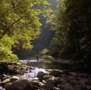 滑水沖自然保護區