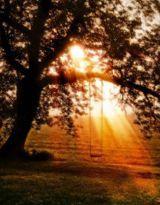 夕陽往事[袁小碧創作的網路小說]