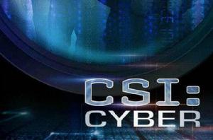 網路犯罪調查 網路犯罪調查