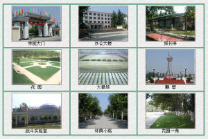 中國人民解放軍西安陸軍學院