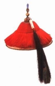 頂戴花翎 頂戴花翎