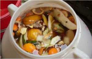 環保酵素第一天