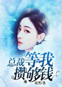總裁等我攢夠錢 總裁等我攢夠錢