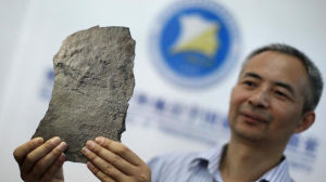 最古老動物足跡