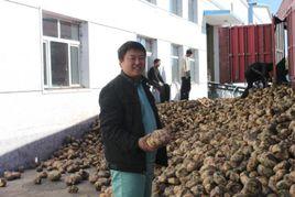 倉儲經理 倉儲經理