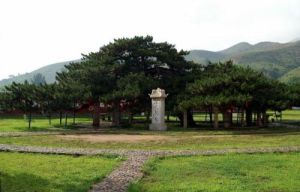 九龍松公園 九龍松公園