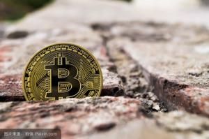 比特現金 比特現金