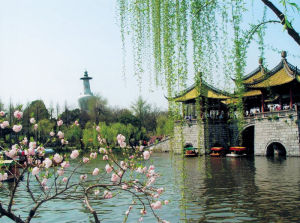 “桃柳著妝日煥新”