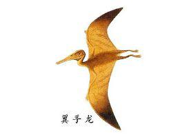 翼手龍[已滅絕遠古翼手龍科動物]