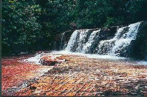 卡奈馬國家公園 卡奈馬國家公園