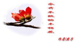 一朵永開不敗的花 一朵永開不敗的花