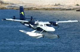 CC-138運輸機 CC-138運輸機