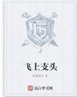 飛上支頭 飛上支頭
