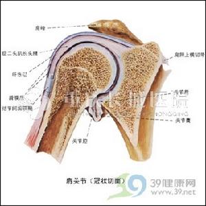晶體性關節炎 晶體性關節炎