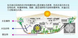 生態工程淨化水質 生態工程淨化水質