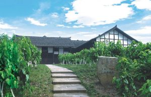 蠶房院子 蠶房院子