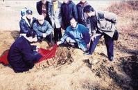 劉銘傳骨灰出土時的場景