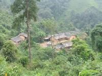 拉祜一隊村 拉祜一隊村