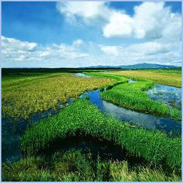 黑龍江三江保護區 黑龍江三江保護區