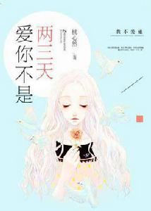 愛你不是兩三天[小說]