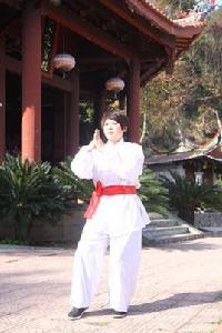 永春白鶴拳 永春白鶴拳