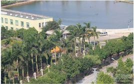 海港村[廣東省中山市神灣鎮下轄村]