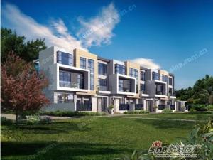 棕櫚彩虹 棕櫚彩虹