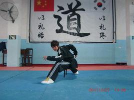 高東升[中國功夫新星秀]