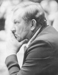 唐·哈金斯 唐·哈金斯