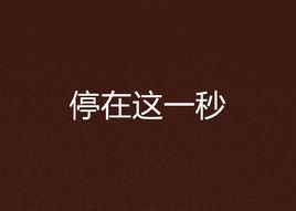 停在這一秒 停在這一秒