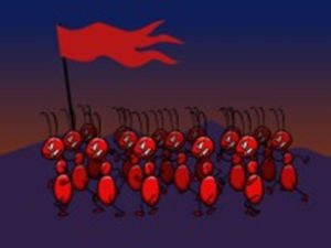 動物大戰 動物大戰