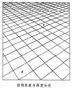 知覺恆常性 知覺恆常性