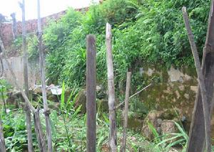 雨南洞國小 雨南洞國小